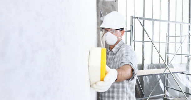 Best Mold Damage Restoration  in Williamsville, NY