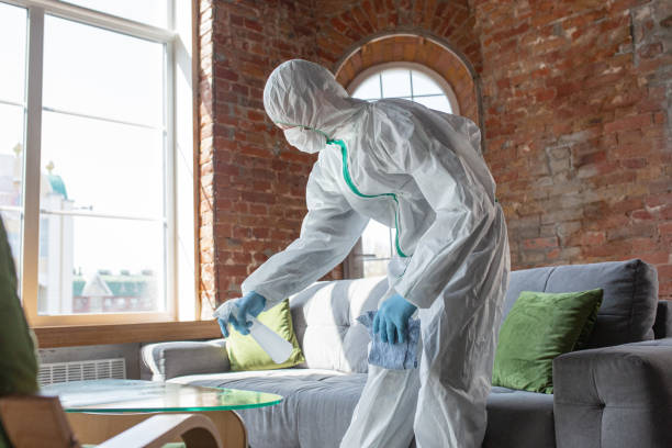 Best Industrial Mold Remediation  in Williamsville, NY