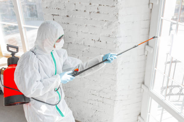 Environmental Consulting for Mold Prevention in Williamsville, NY