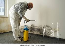 Biohazard Mold Removal in Williamsville, NY